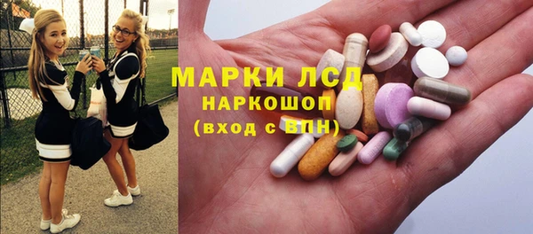 шишки Аркадак