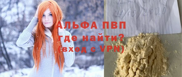 шишки Аркадак