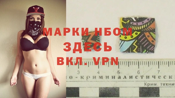 шишки Аркадак