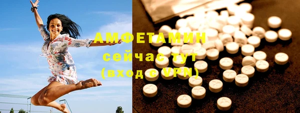 шишки Аркадак