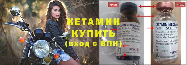 шишки Аркадак