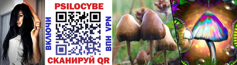 Галлюциногенные грибы GOLDEN TEACHER  Омутнинск 